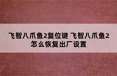 飞智八爪鱼2复位键 飞智八爪鱼2怎么恢复出厂设置